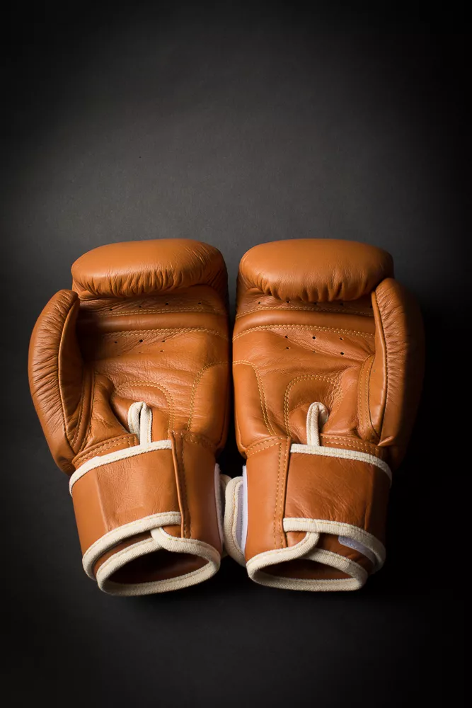 elion gants de boxe